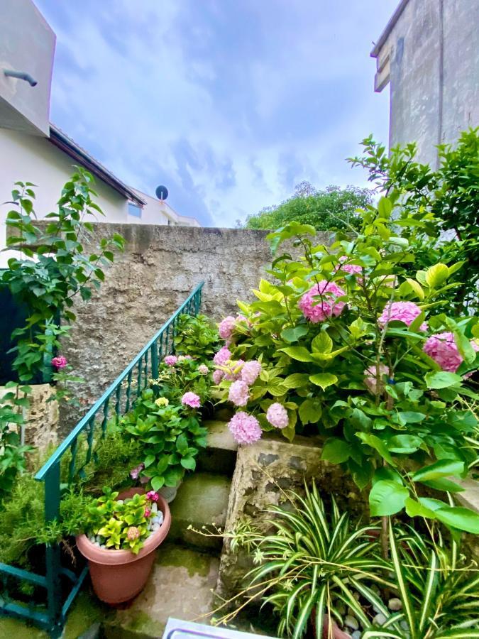 Mala Plaza Apartments Ulcinj Exteriör bild